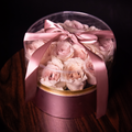 Box Rose Gold: 14 Rosas Pálidas
