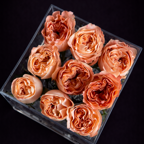 Box Acrílico: Rosas en Transparencia