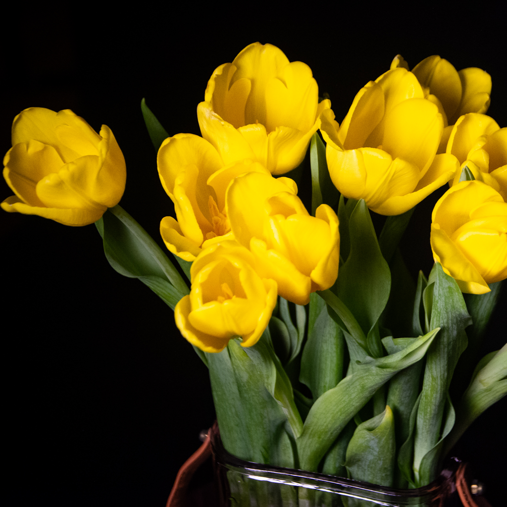 Florero de 10 Tulipanes Coloridos